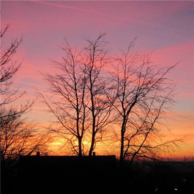 斗牛棋牌app下载